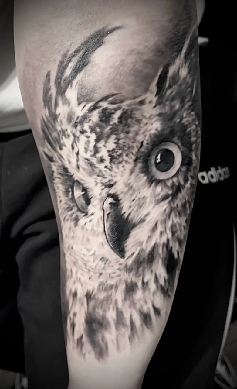 Sehr detailreiches realistisches Tattoo einer Eule auf dem Unterarm, gestochen von ON Tattoo Artist Freiburg, Ton und Tinte.